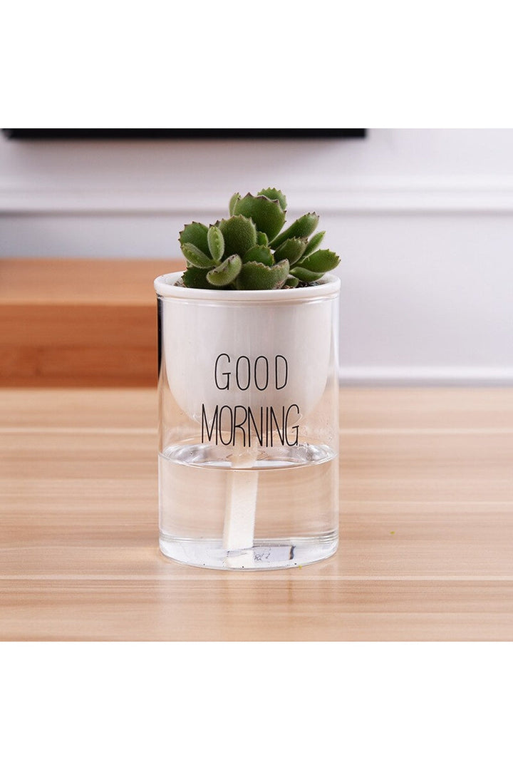Lisslune | Plant Pot Innovation