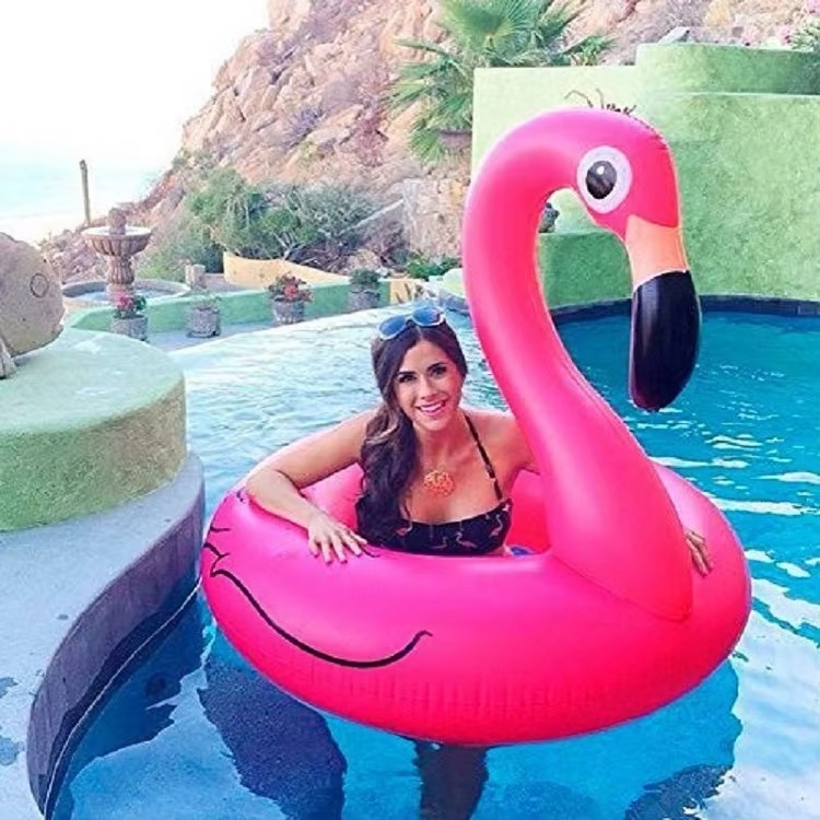 Lisslune | Pink Flamingo Inflatable Pool Float for Summer Fun