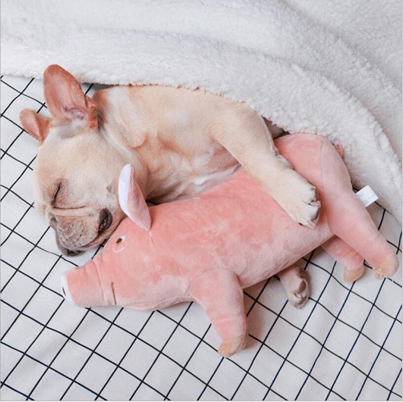 Lisslune | Cuddly Pig Friend: Plush Comfort Toy