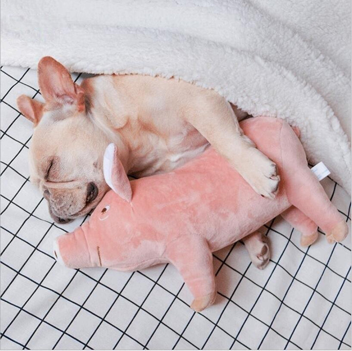 Lisslune | Cuddly Pig Friend: Plush Comfort Toy