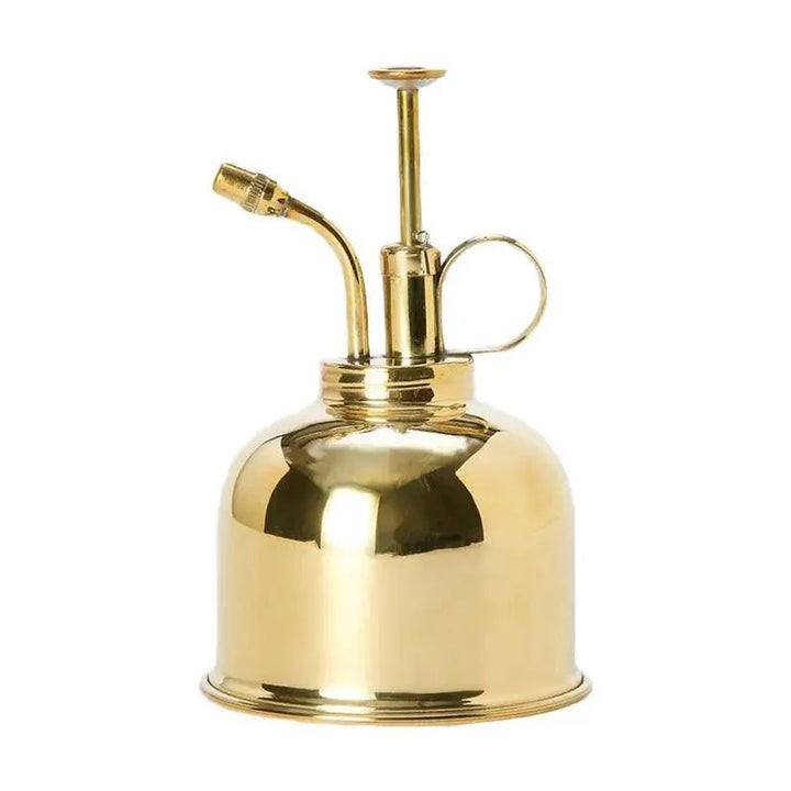 Lisslune | Elegant Brass Succulent Mister Set - Sleek Mini Watering Can with Polished Surface