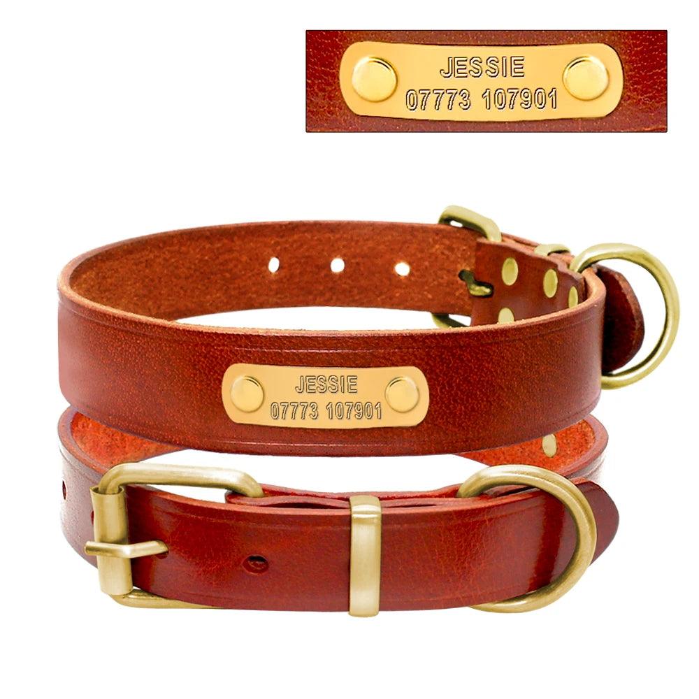 Lisslune | Customizable engraved leather dog collar for small to medium breeds - Personalized with name and contact information