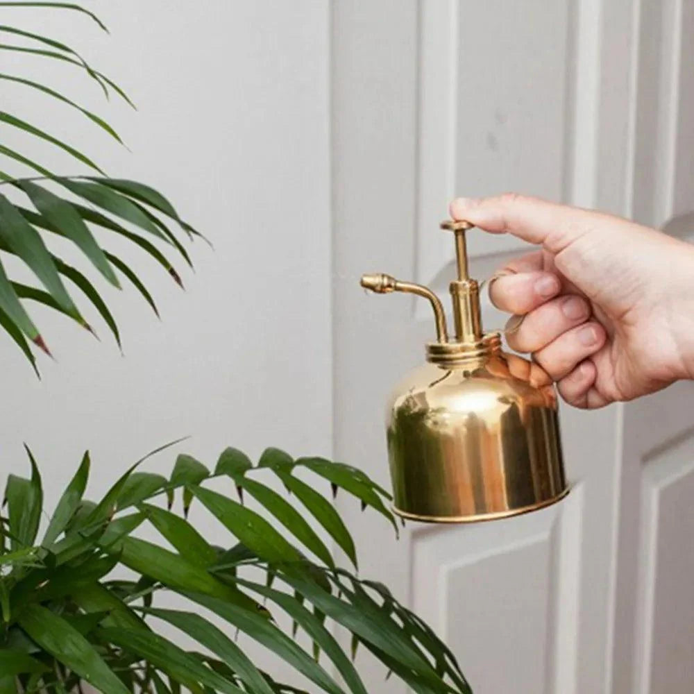 Lisslune | Elegant Brass Succulent Mister Set - Sleek Mini Watering Can with Polished Surface