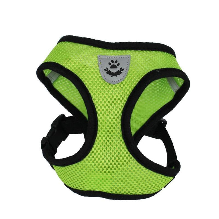Lisslune | Cat harness with leash
