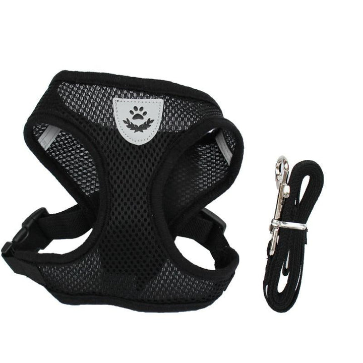 Lisslune | Cat harness with leash
