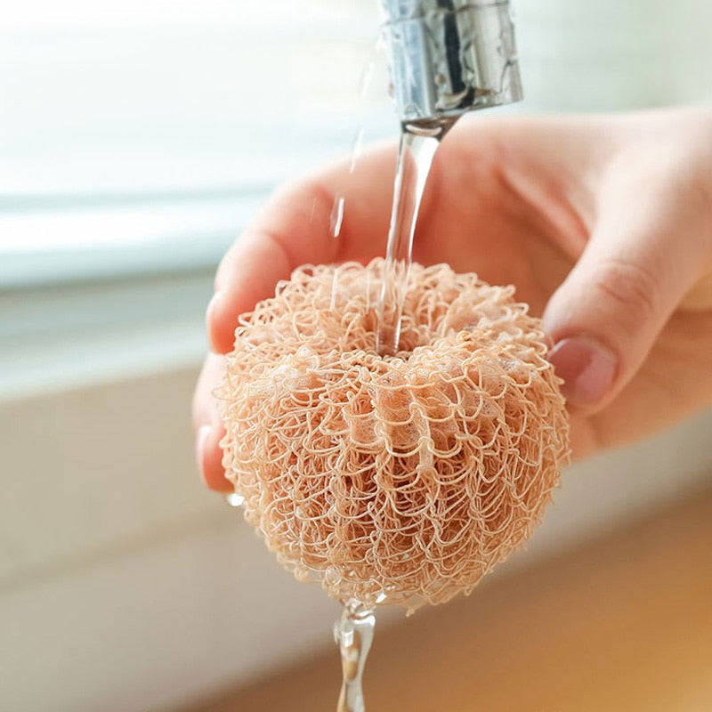 Lisslune | Surprise Egg Kitchen Cleaning Brush