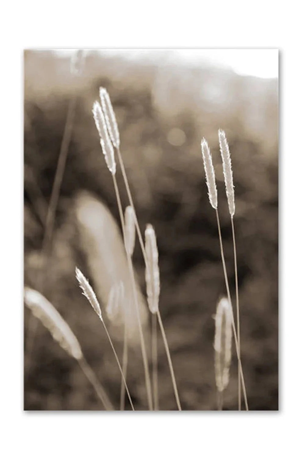 Lisslune | Academy Nordic Nature Canvas Poster