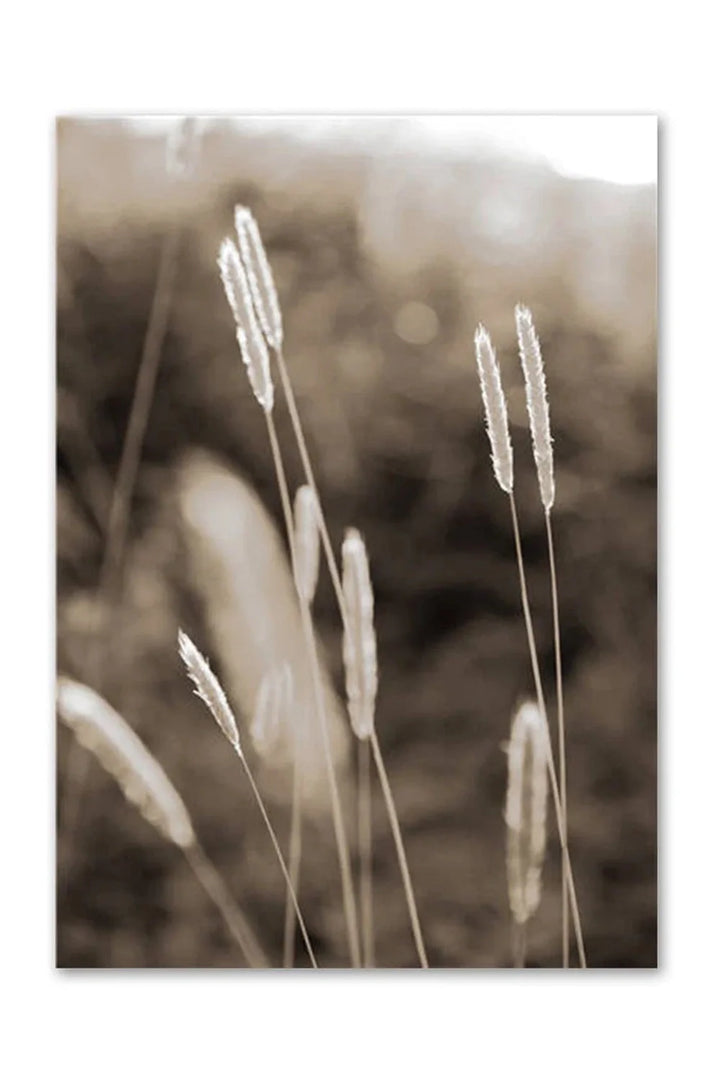 Lisslune | Academy Nordic Nature Canvas Poster