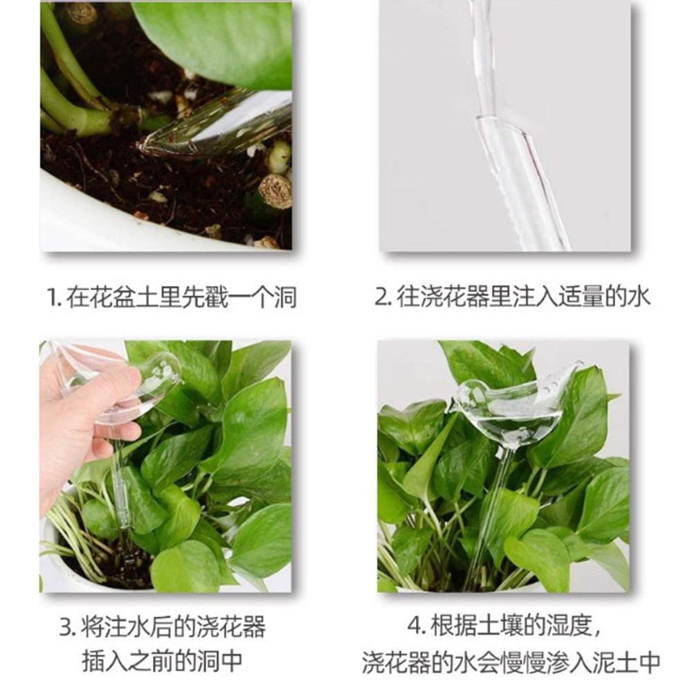 Lisslune | Stylish Automatic Drip Irrigation System for Indoor Plants with Transparent Water Monitoring