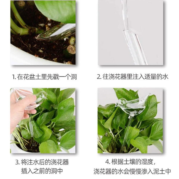 Lisslune | Stylish Automatic Drip Irrigation System for Indoor Plants with Transparent Water Monitoring