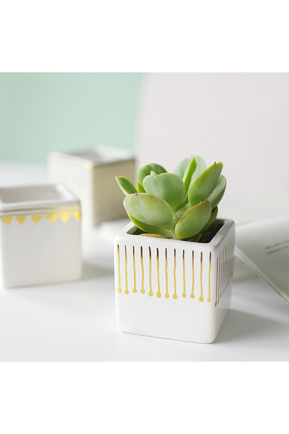 Lisslune | ceramic artistic flower pot