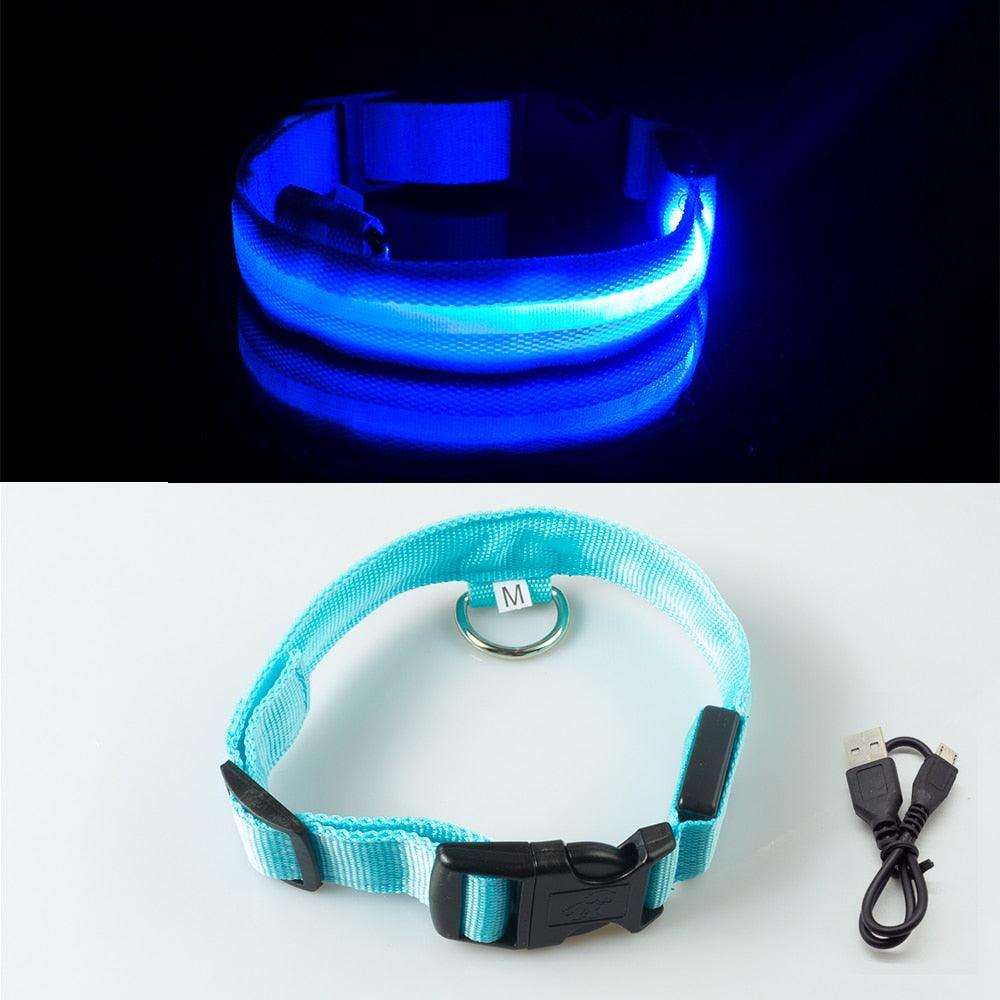 Lisslune | Light & Protect: Rechargeable Waterproof LED Dog Collar for Enhanced Nighttime Safety