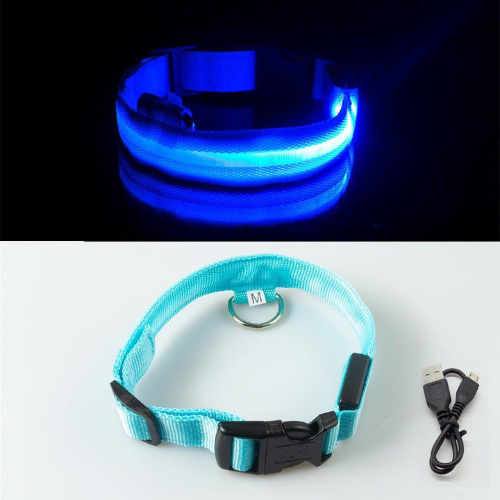 Lisslune | Light & Protect: Rechargeable Waterproof LED Dog Collar for Enhanced Nighttime Safety