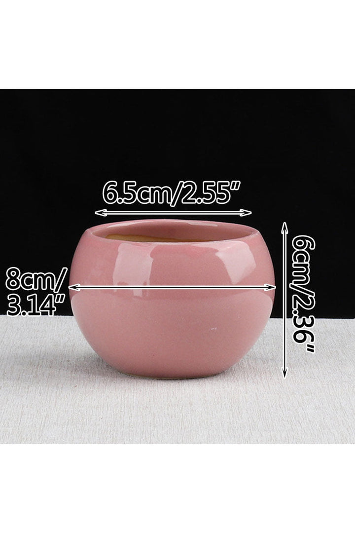Lisslune | Pastel Charm Flower Pot