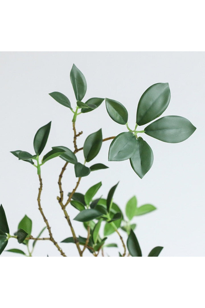 Lisslune | Branch Luxury Decor
