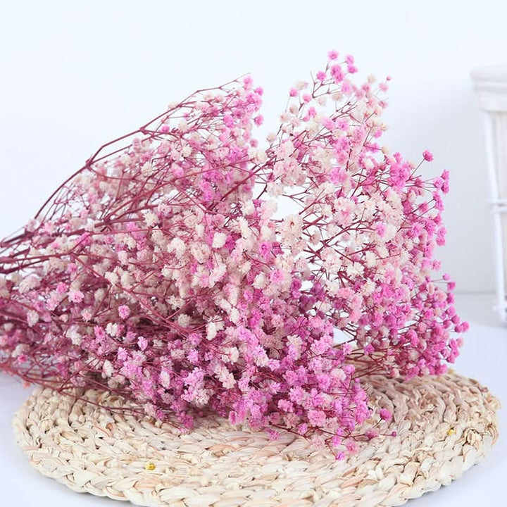 Lisslune | Dried Preserved Gypsophila Flower Bouquet – Natural Decor