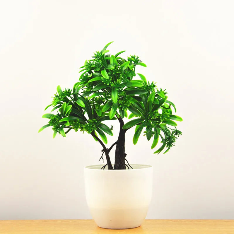 Lisslune | Small Tree Pot Bonsai Plants