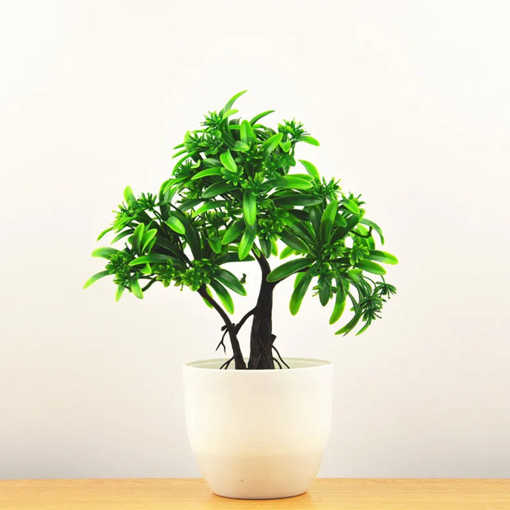 Lisslune | Small Tree Pot Bonsai Plants