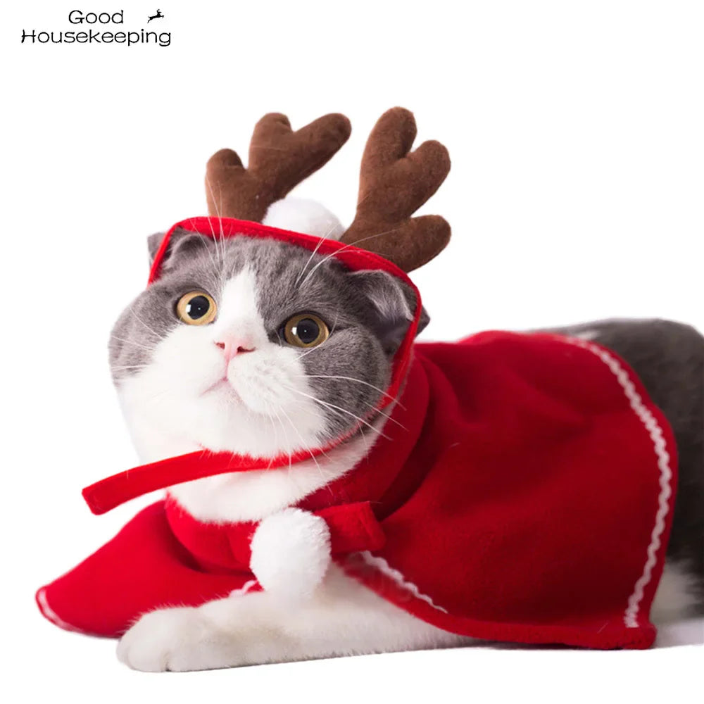 Lisslune | Cat Christmas costume