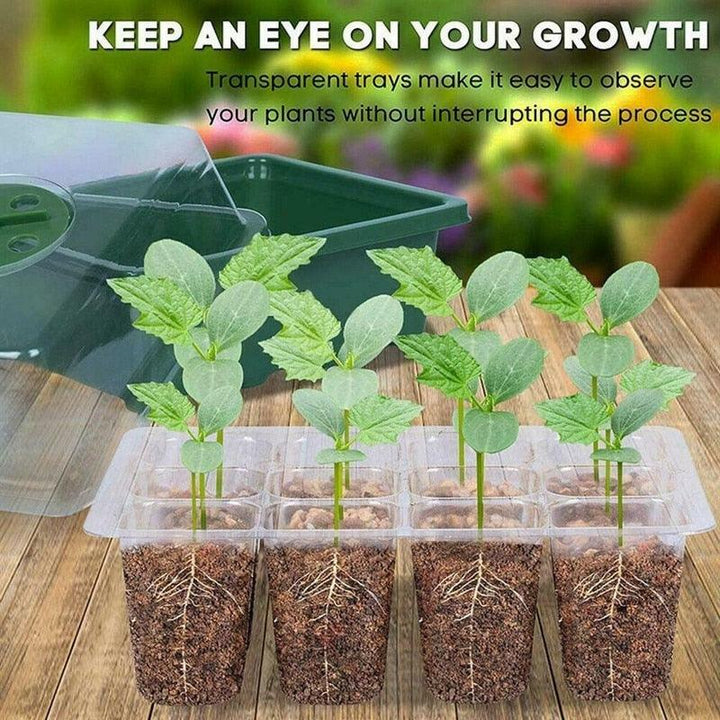 Lisslune | Innovative Seedling Growing Set: 12-Cell Growth Plate for Superior Plant Care