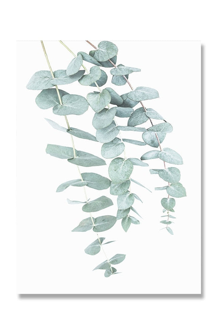 Lisslune | Botanical Art Posters