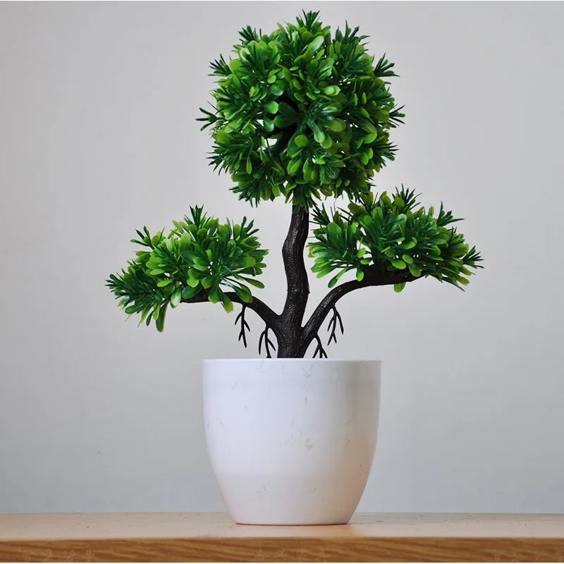 Lisslune | Small Tree Pot Bonsai Plants