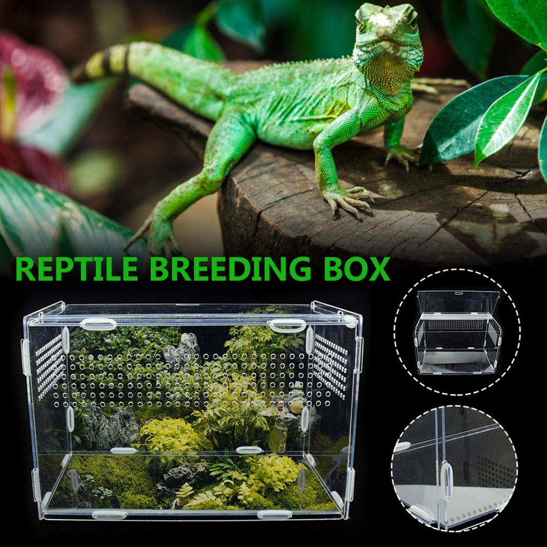 Lisslune | Transparent Acrylic Case for Reptile Habitat and Insect Observation