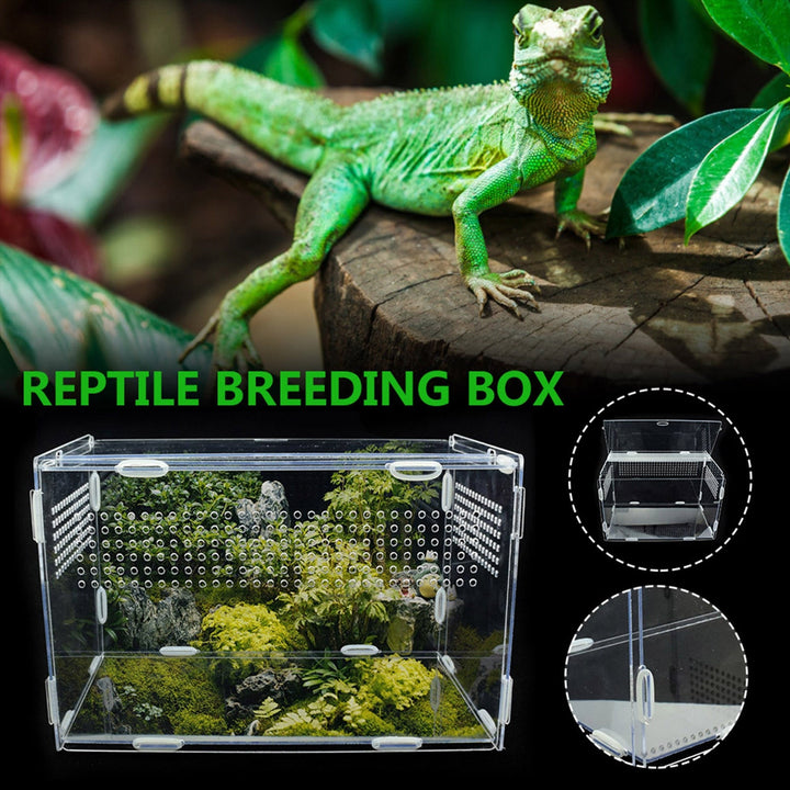 Lisslune | Transparent Acrylic Case for Reptile Habitat and Insect Observation