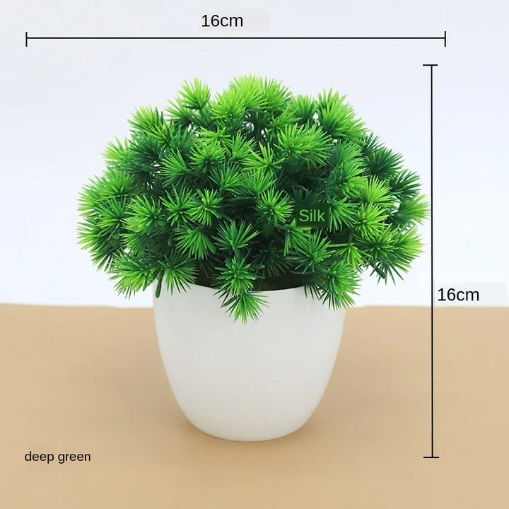 Lisslune | Small Tree Pot Bonsai Plants