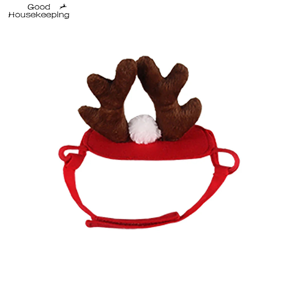 Lisslune | Cat Christmas costume