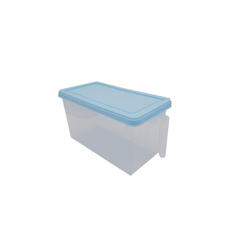 Lisslune | Ultimate Freshness Keeper: Innovative food storage box