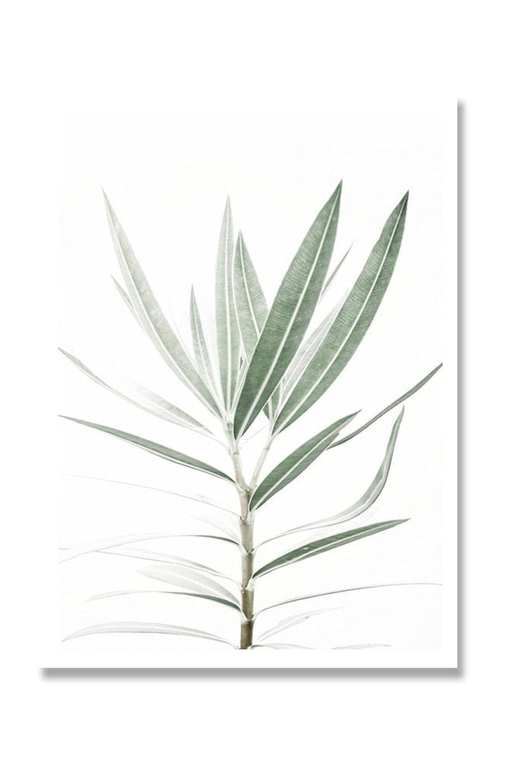 Lisslune | Botanical Art Posters