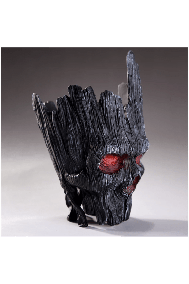Lisslune | Skull Flower Pot
