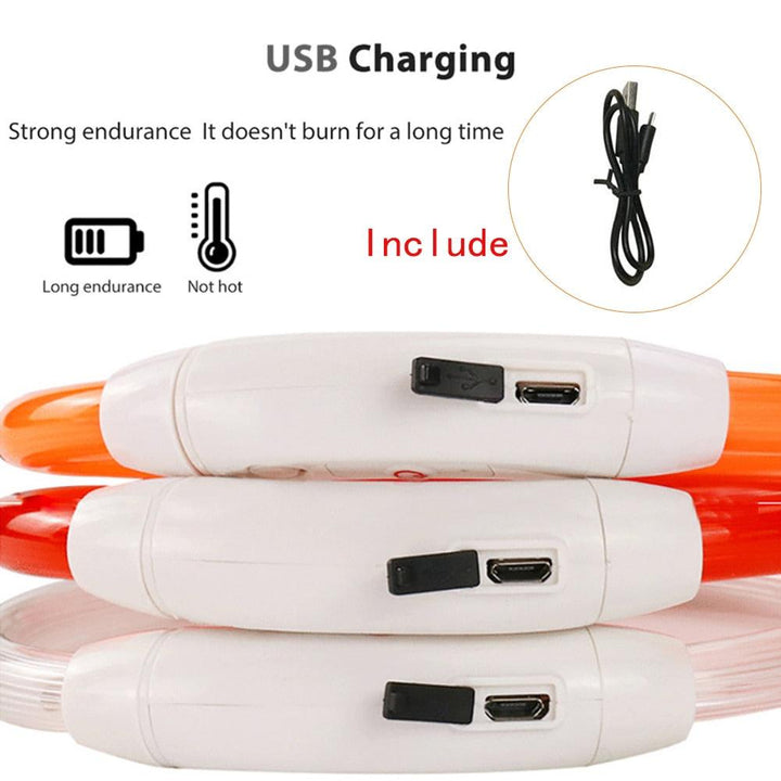 Lisslune | Illuminated rechargeable USB dog grooming for optimal night safety and visibility