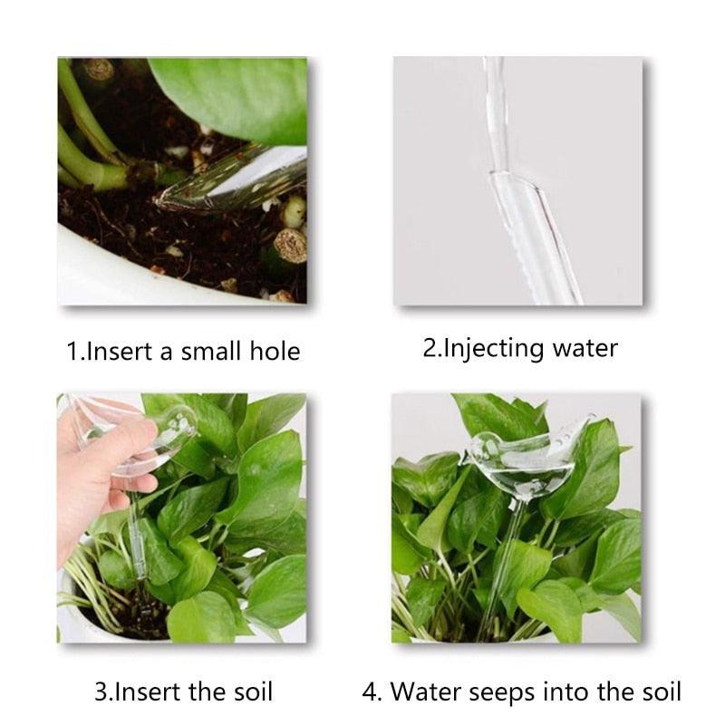 Lisslune | Transparent automatic drip irrigation system for the care of houseplants with water level indicator