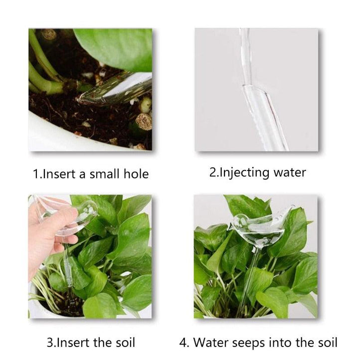 Lisslune | Revolutionary clear automatic irrigation system for stress-free gardening