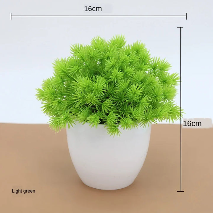 Lisslune | Small Tree Pot Bonsai Plants