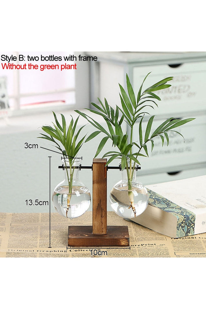 Lisslune | Hydroculture Plant Vase Set