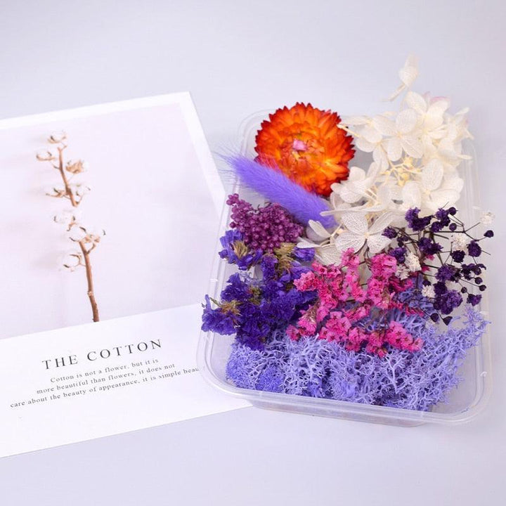 Lisslune | Eternal Floral Inspirations: Preserved Petals for Creative Expressions