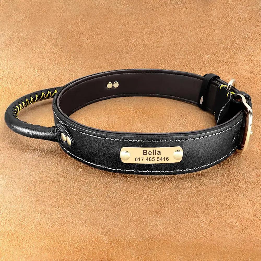 Lisslune | Custom Engraved Premium Leather Dog Collar with Control Handle for Medium to Large Breeds