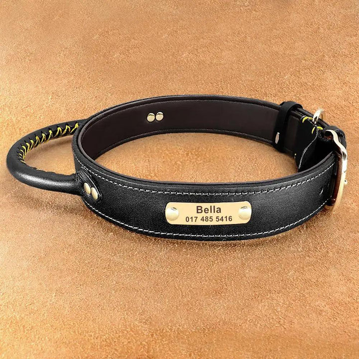 Lisslune | Custom Engraved Premium Leather Dog Collar with Control Handle for Medium to Large Breeds