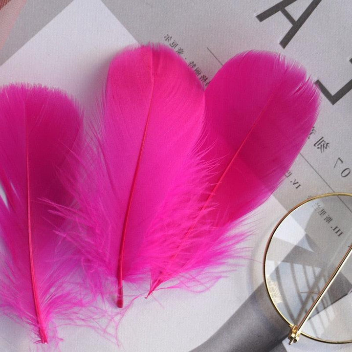 Lisslune | Feather Elegance Craft Kit: Enhance weddings, fashion, and creative projects
