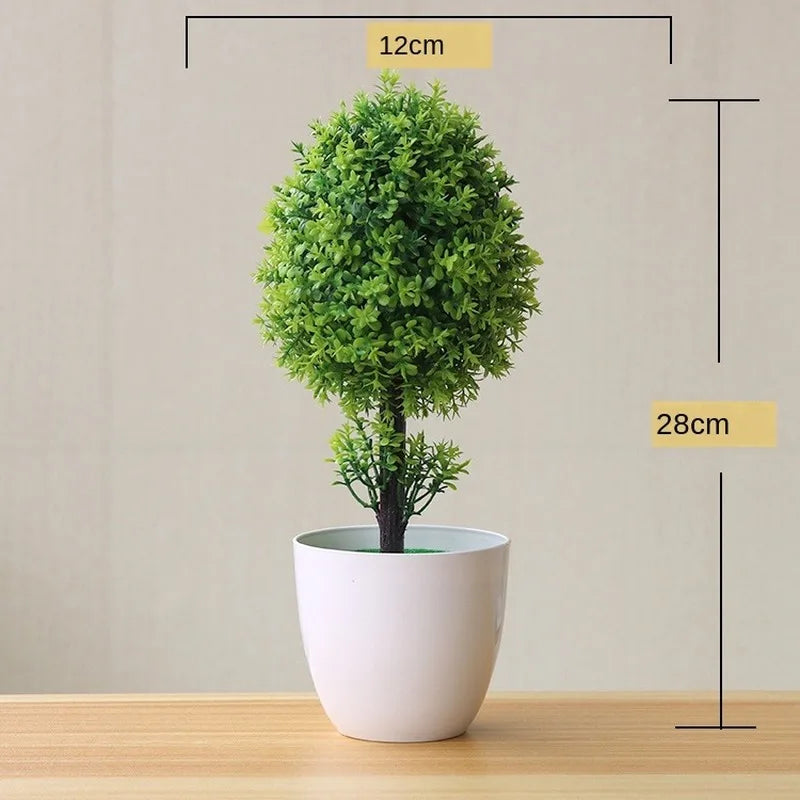Lisslune | Small Tree Pot Bonsai Plants