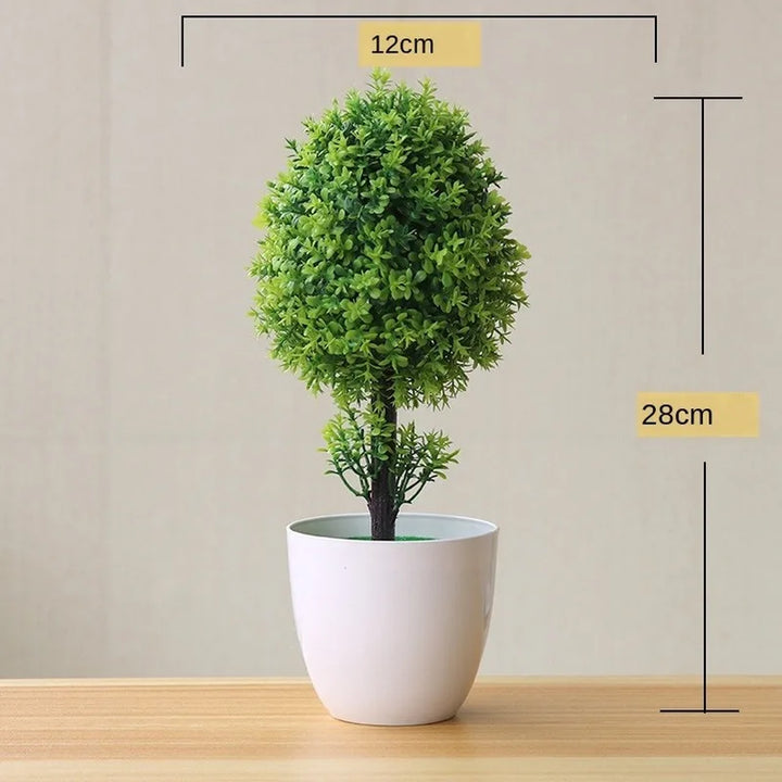 Lisslune | Small Tree Pot Bonsai Plants