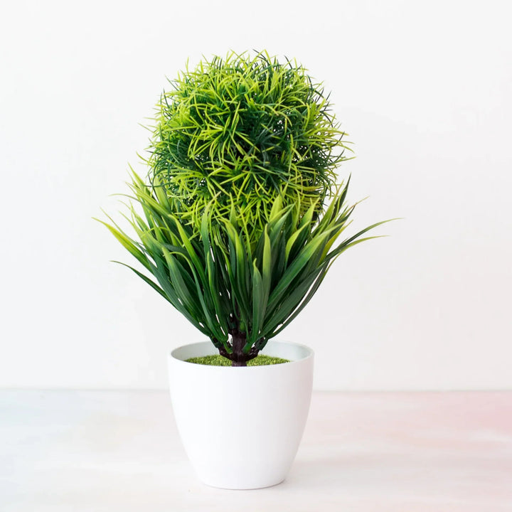 Lisslune | Small Tree Pot Bonsai Plants