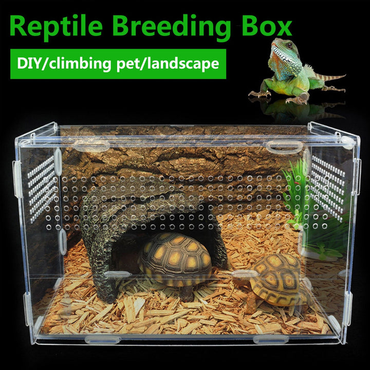 Lisslune | Transparent Acrylic Case for Reptile Habitat and Insect Observation