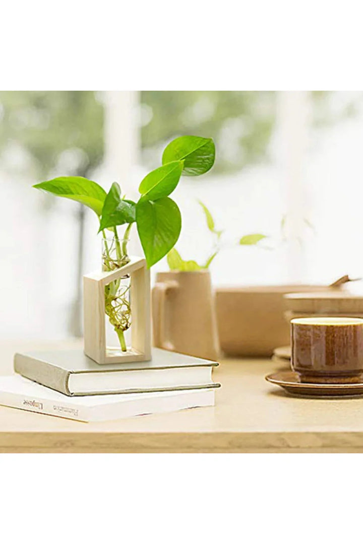 Lisslune | Plant pot