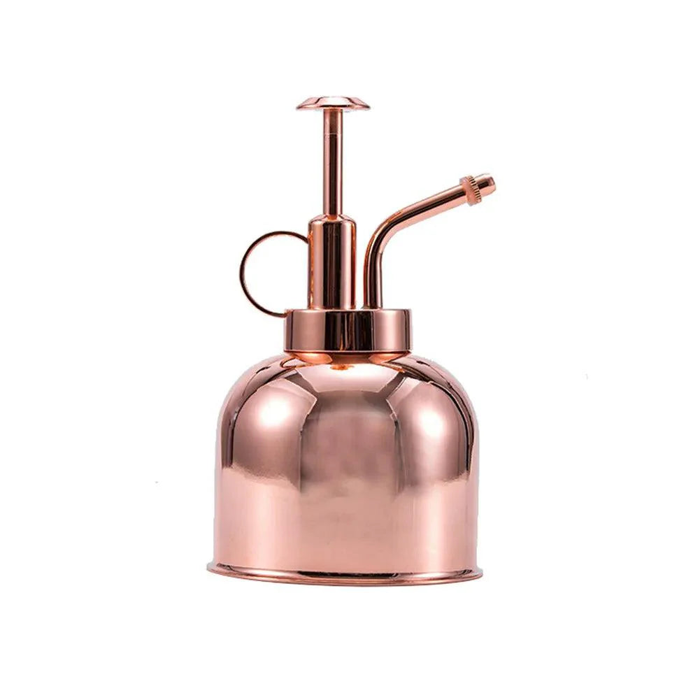 Lisslune | Elegant Brass Succulent Mister Set - Sleek Mini Watering Can with Polished Surface