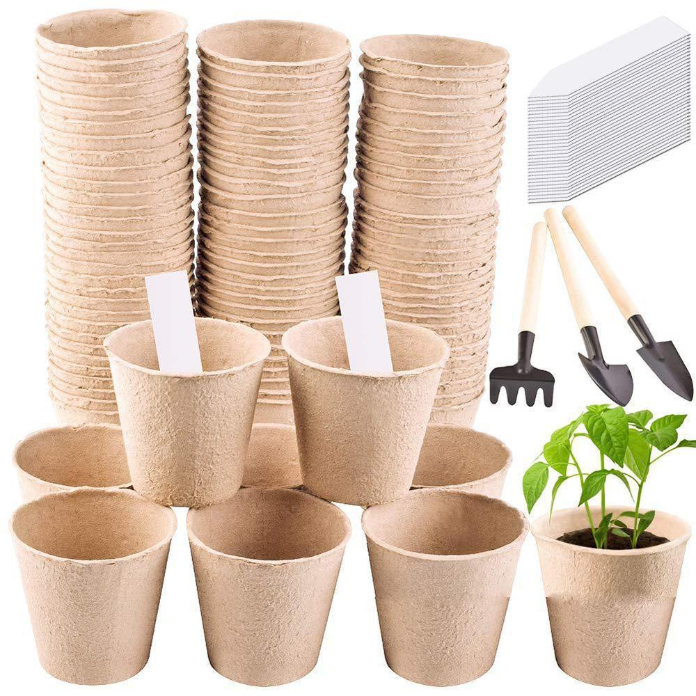 Lisslune | Eco-friendly peat pot seedling kit: Green growth with biodegradable plant pots