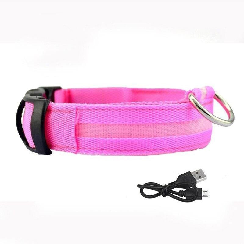 Lisslune | LED USB glowing dog collar